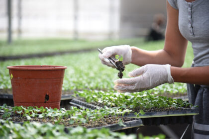 unnamed - 2025-08-21T140542.345