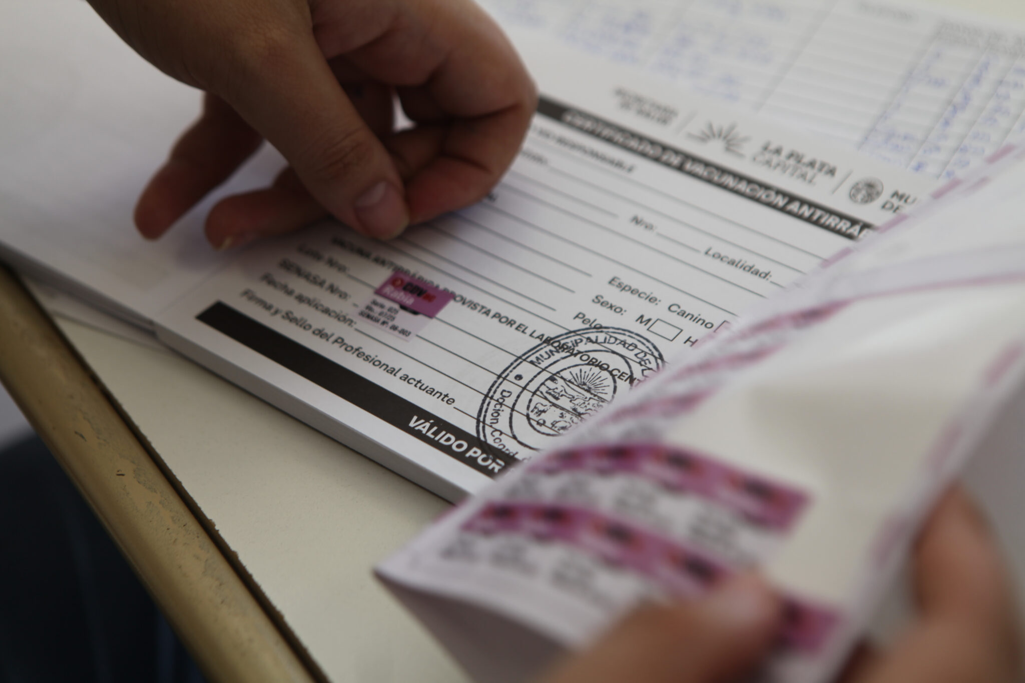 unnamed - 2025-08-26T113156.941