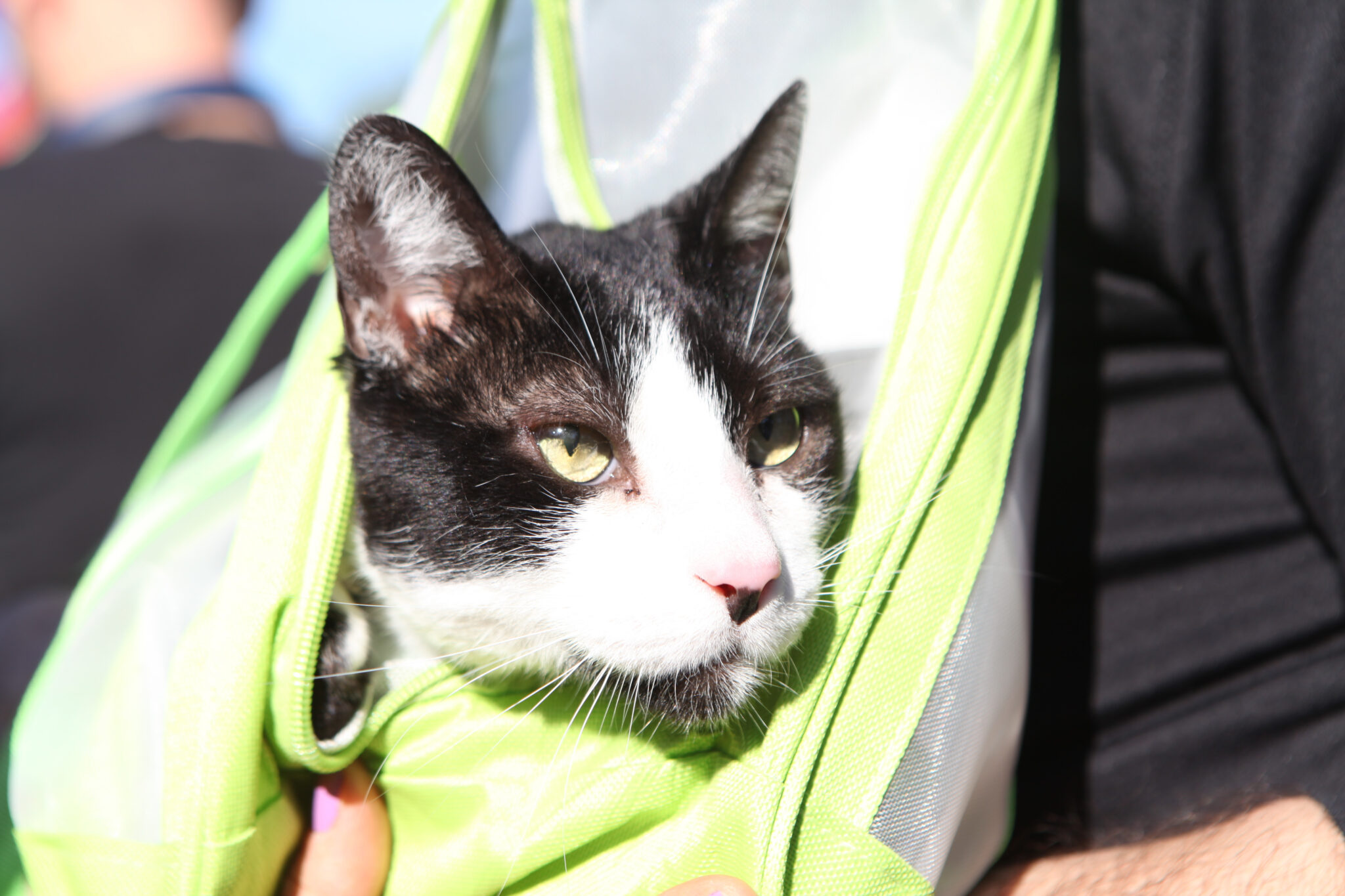 u3-unnamed-2025-09-30T123806.273