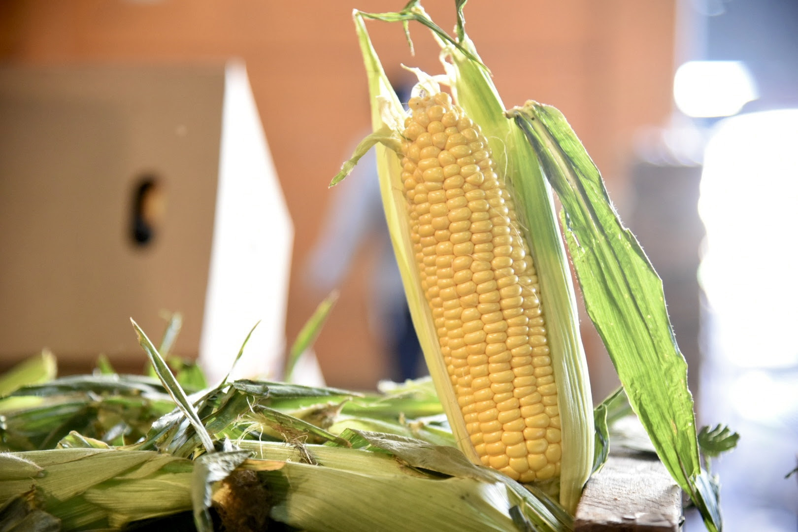 u3-unnamed-2025-10-10T123932.070