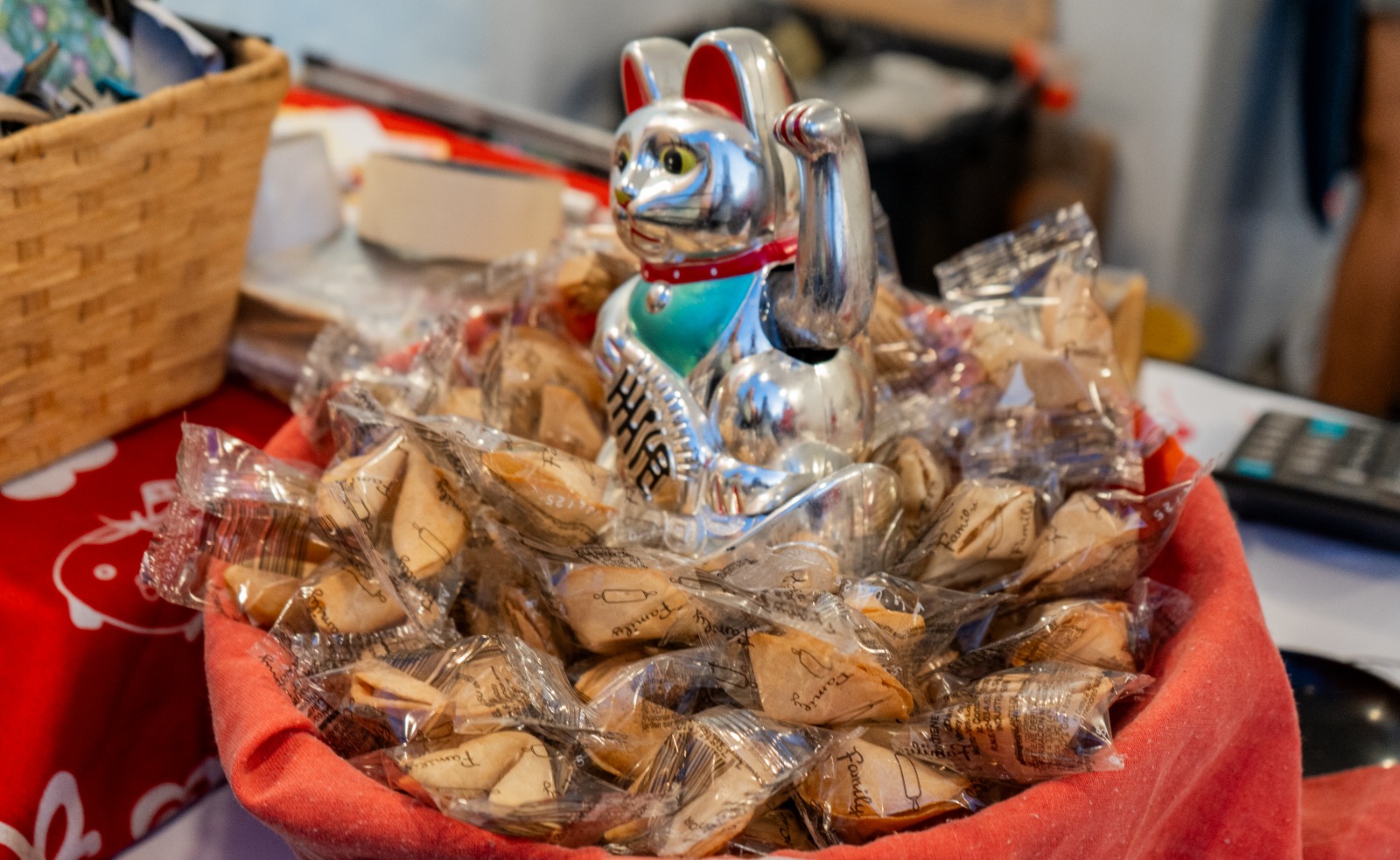 WhatsApp-Image-2026-01-23-at-11.37.28-AM