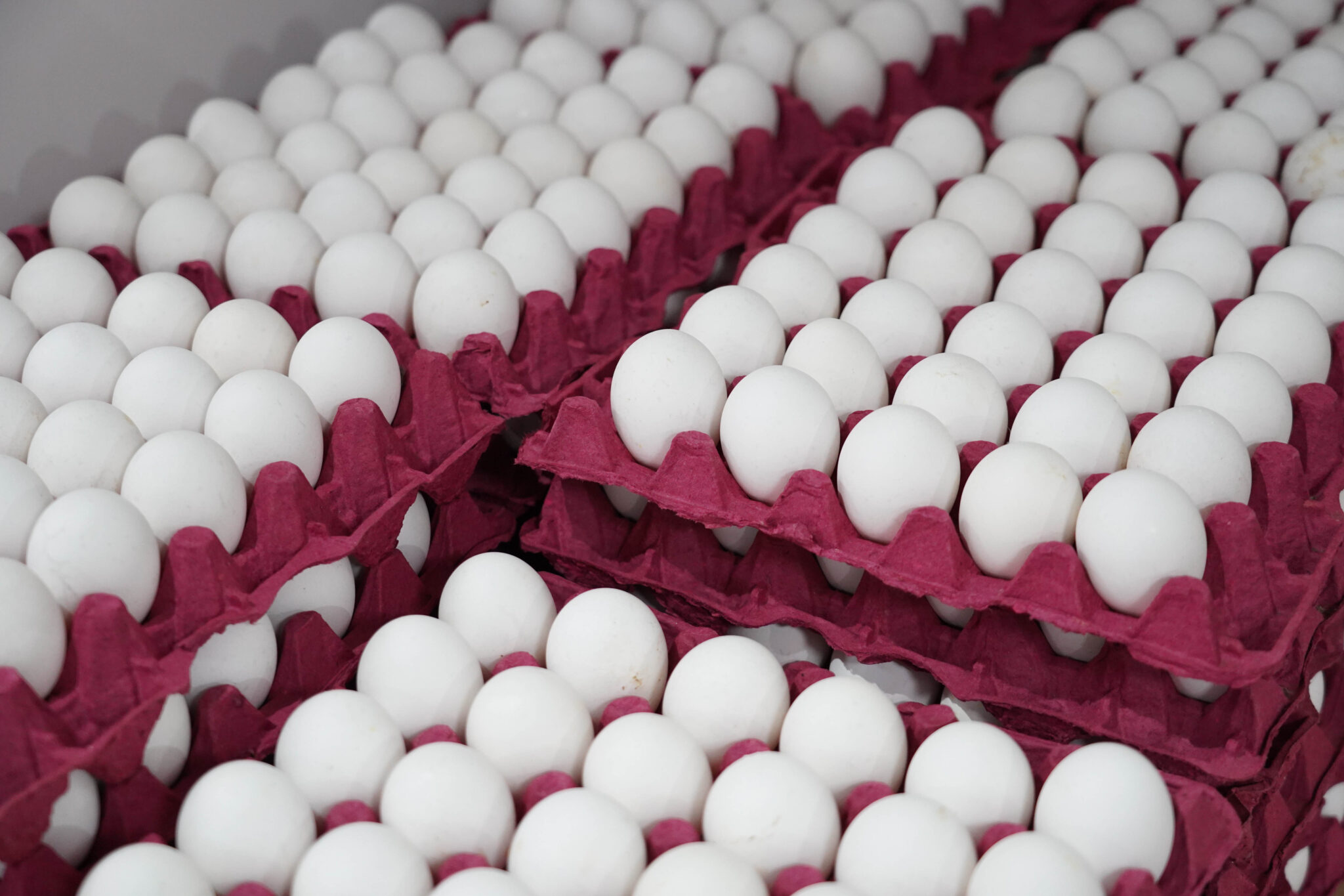 unnamed-2026-01-20T111406.335