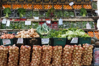 20260206093701_mercado-frutas-y-verduras-mlp