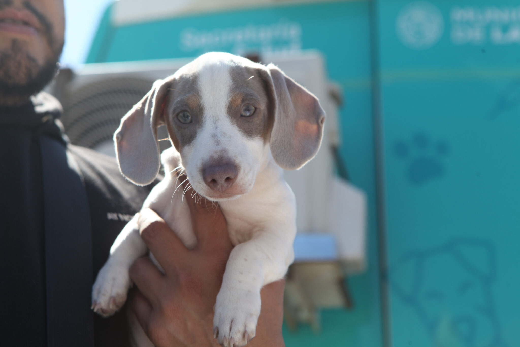 unnamed-2026-03-02T155941.070