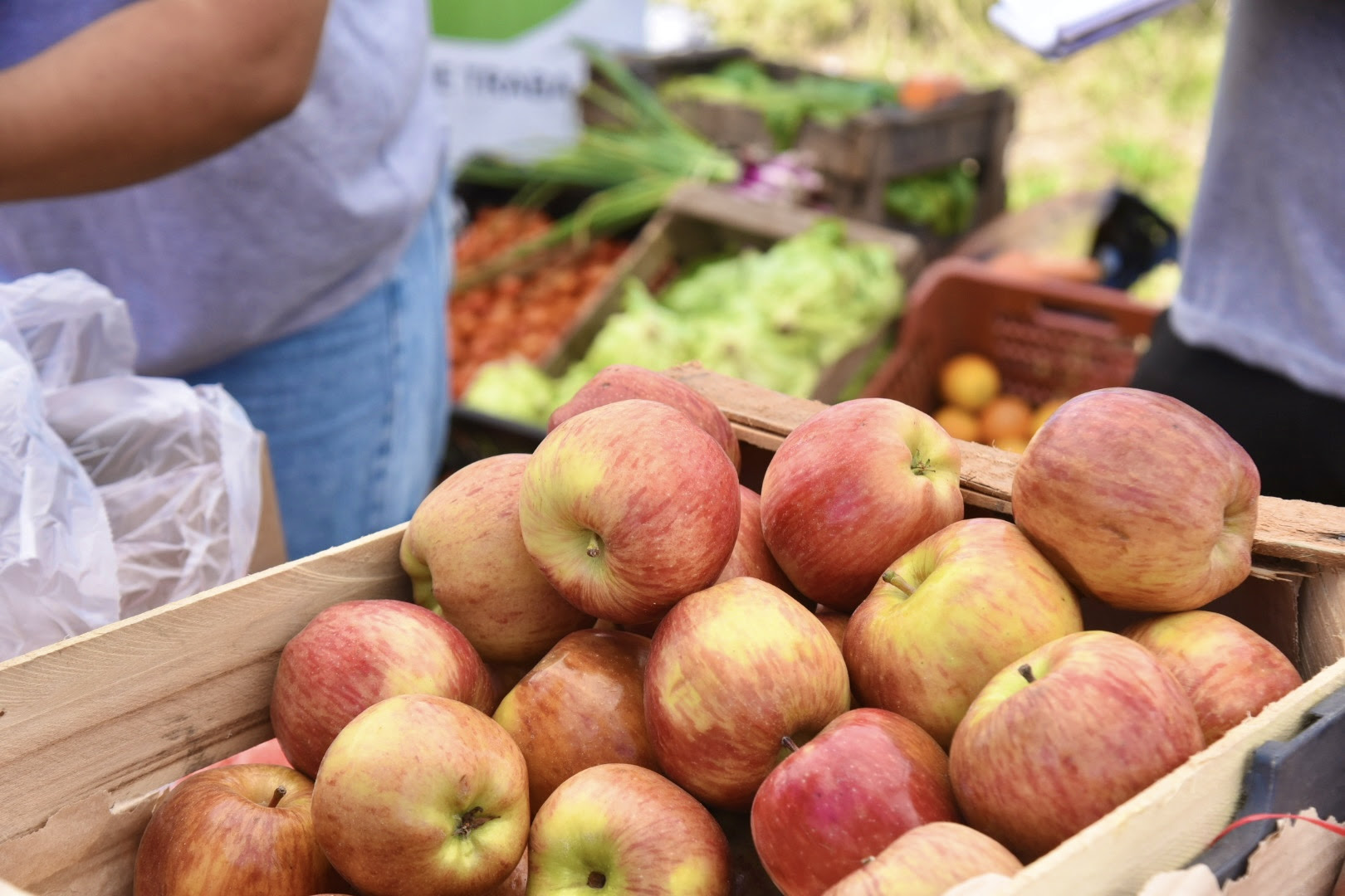 unnamed-2026-03-14T140920.559