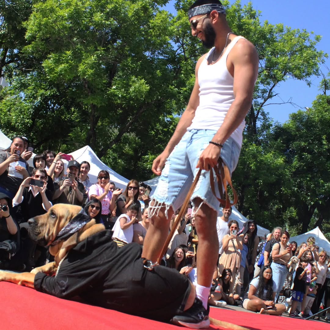 WhatsApp-Image-2026-04-24-at-11.57.27-AM